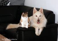 Smartei und Amy auf der Couch
